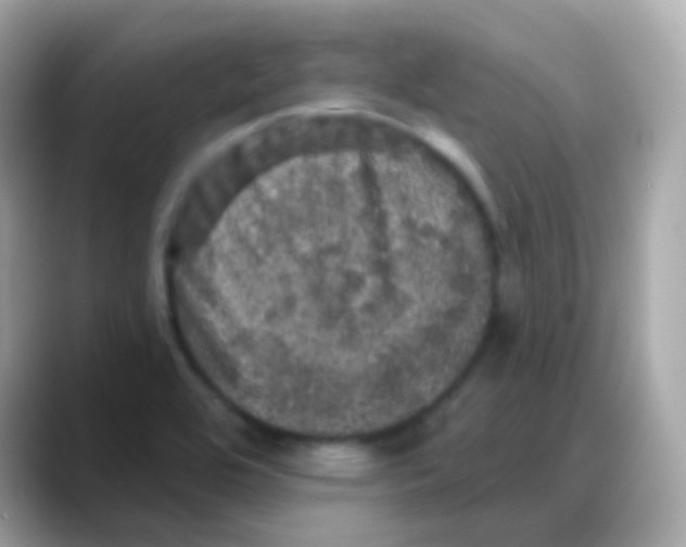 X0000088141464200706041959