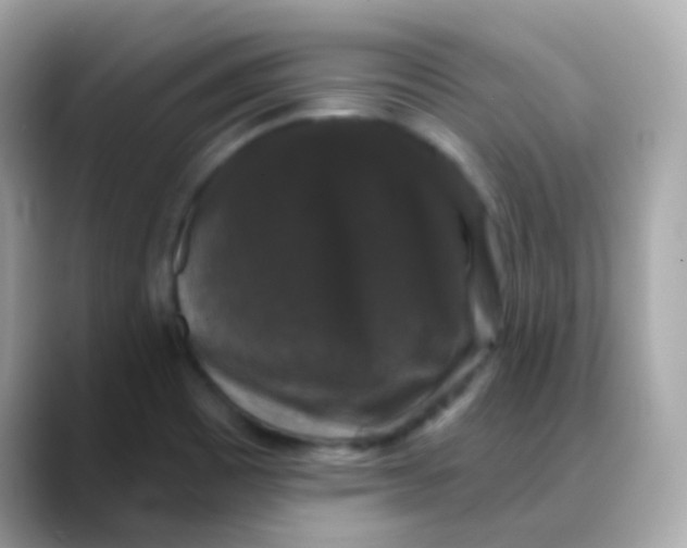 X0000088141465200706041959