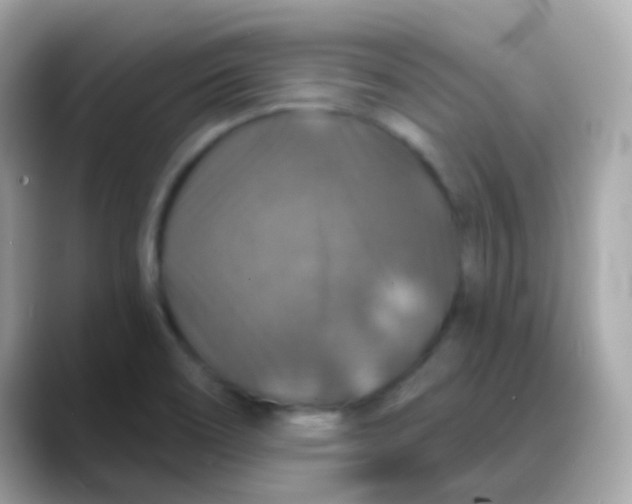 X0000088141466200706041959