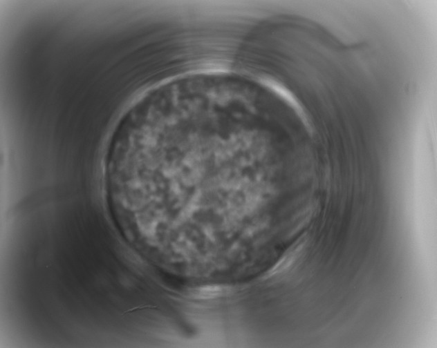 X0000088141467200706041959