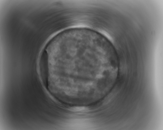 X0000088141468200706041959