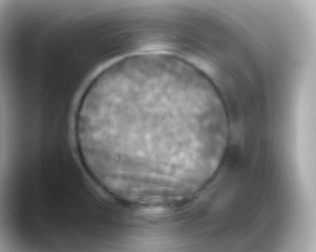 X0000088141470200706041959