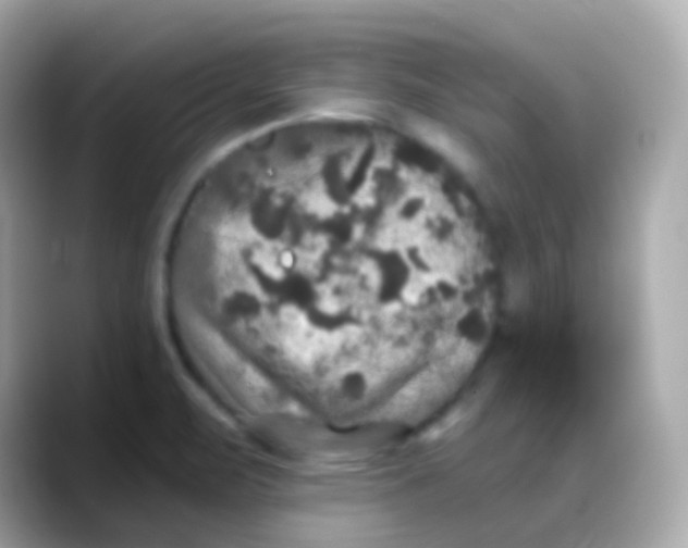 X0000088141471200706041959