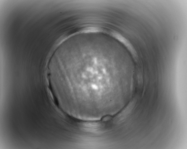 X0000088141473200706041959