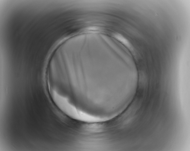 X0000088141474200706041959