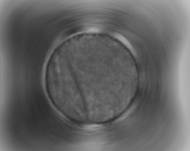 X0000088141475200706041959