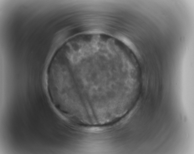 X0000088141476200706041959