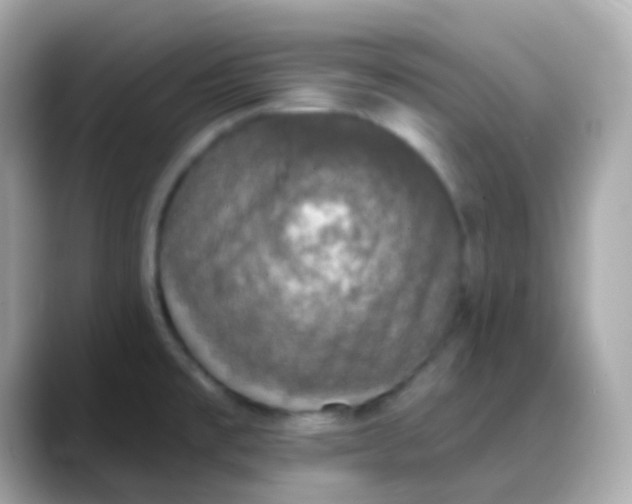 X0000088141477200706041959