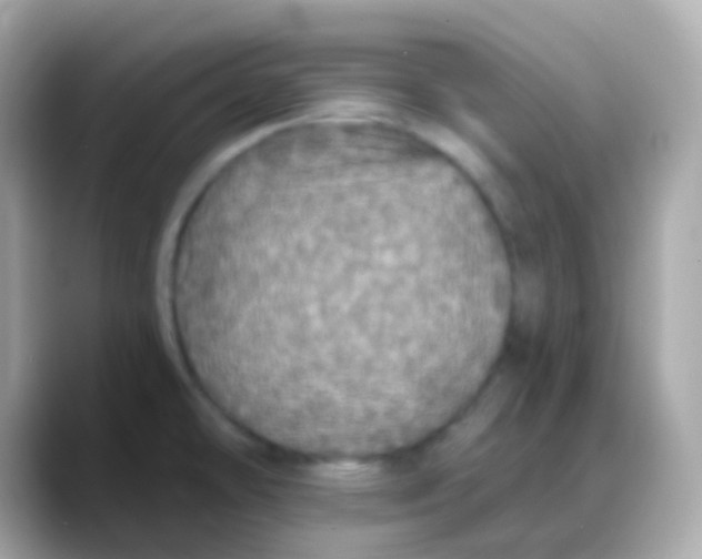 X0000088141478200706041959