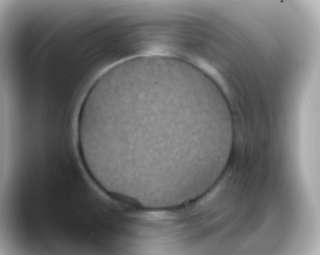 X0000088141479200706041959