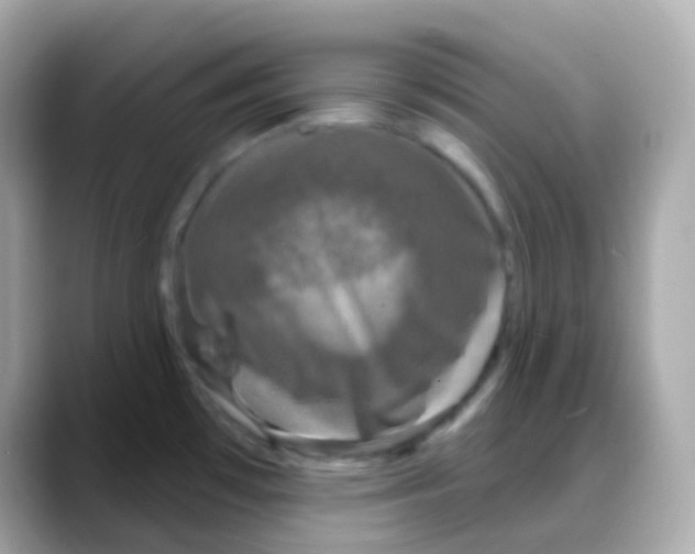 X0000088141481200706041959