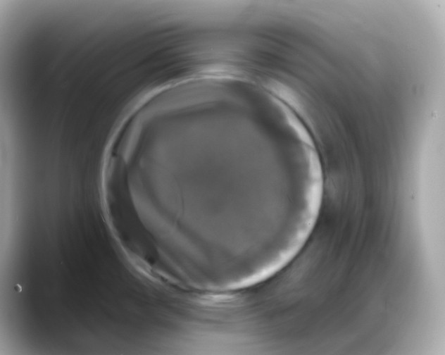 X0000088141482200706041959