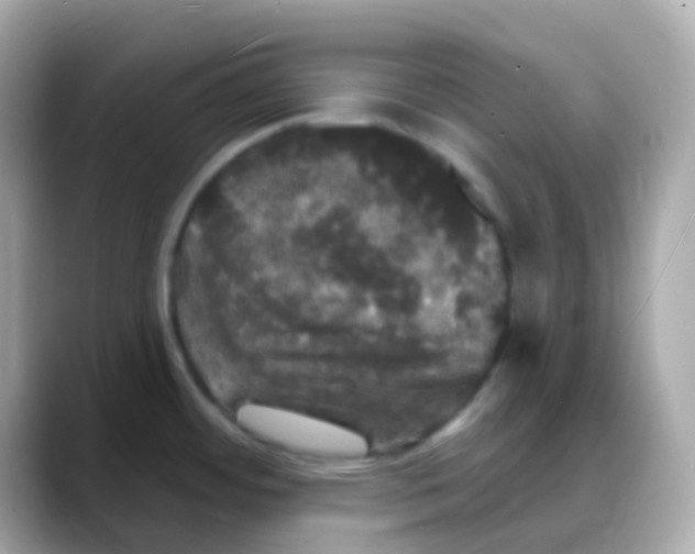 X0000088141484200706041959