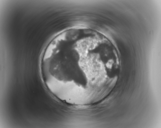 X0000088141488200706041959