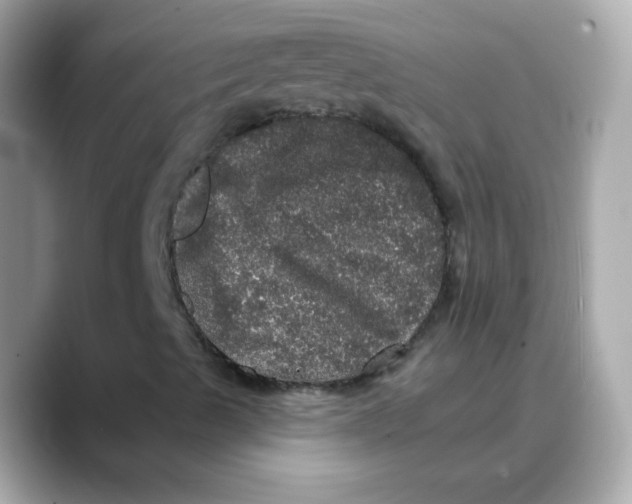 X0000088141489200706041958