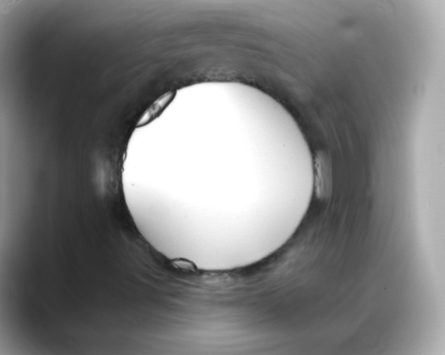 X0000088141491200706041958