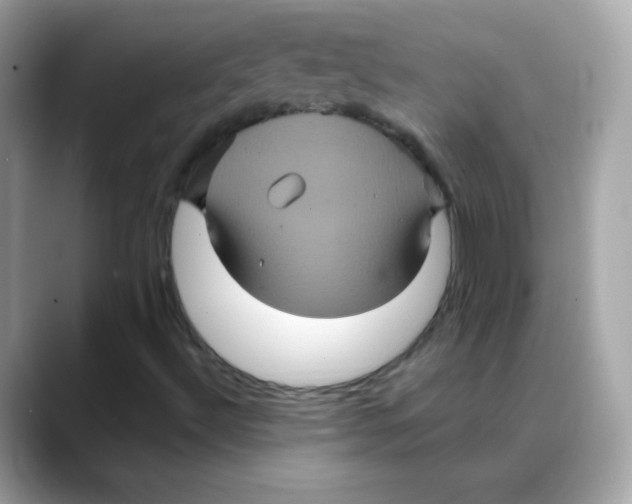 X0000088141492200706041958