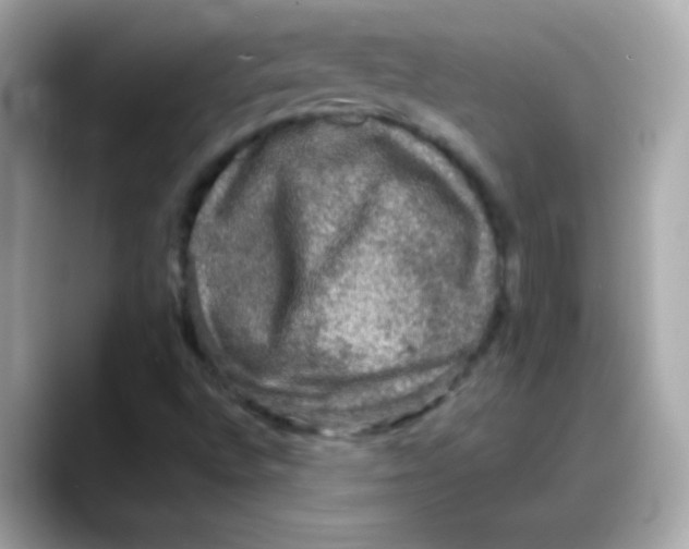 X0000088141496200706041958