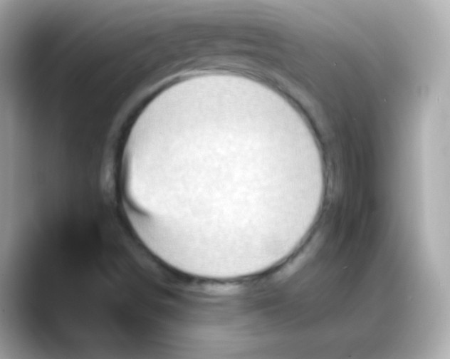 X0000088141498200706041958