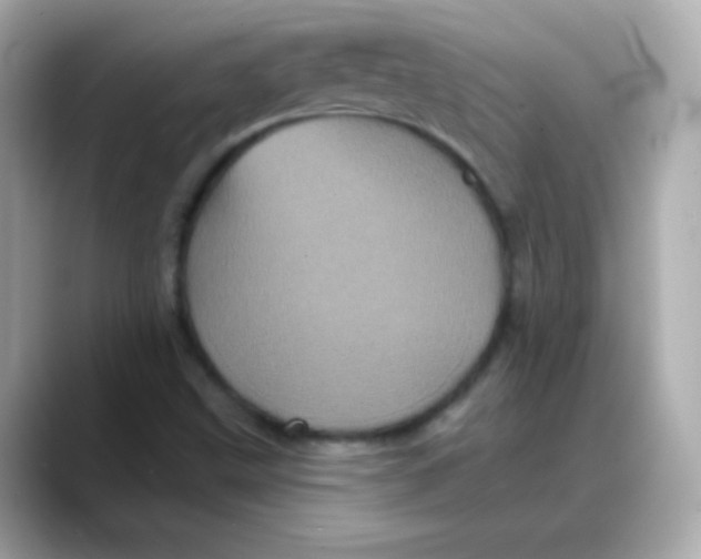 X0000088141499200706041958