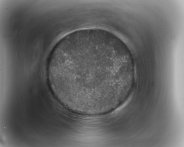 X0000088141501200706041958