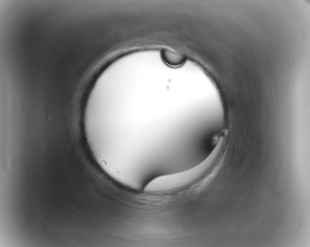 X0000088141502200706041958