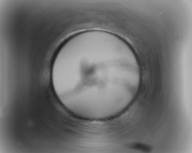 X0000088141503200706041958