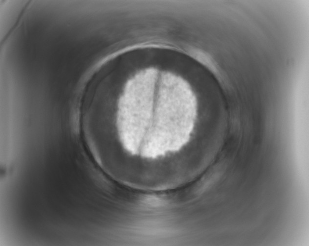 X0000088141504200706041958