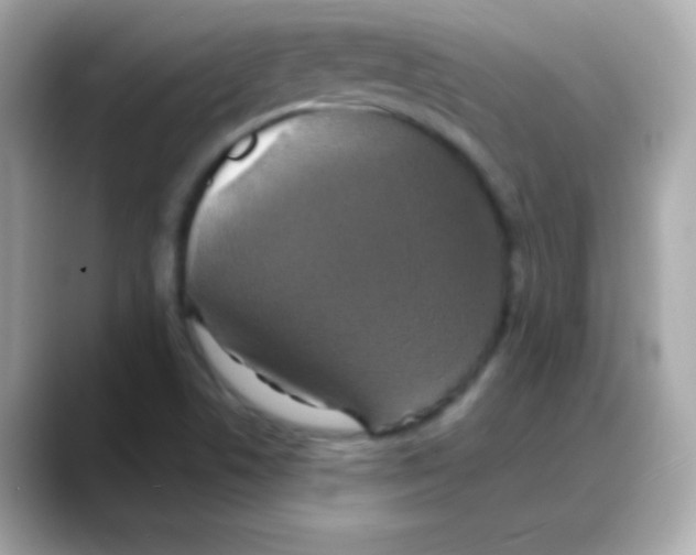 X0000088141506200706041958