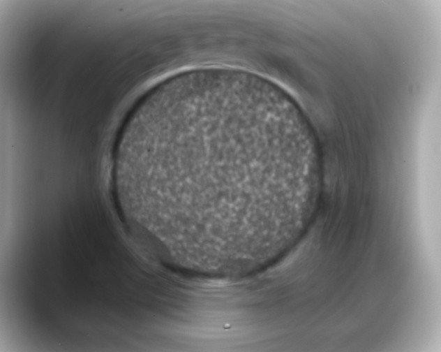 X0000088141507200706041958