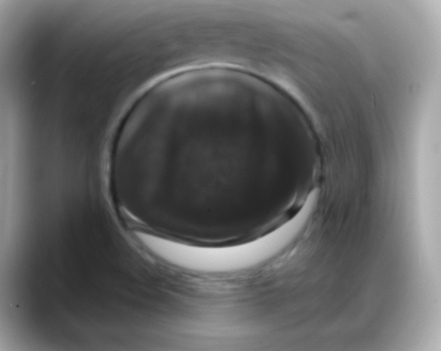 X0000088141508200706041958