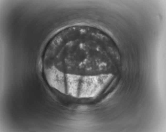 X0000088141509200706041958