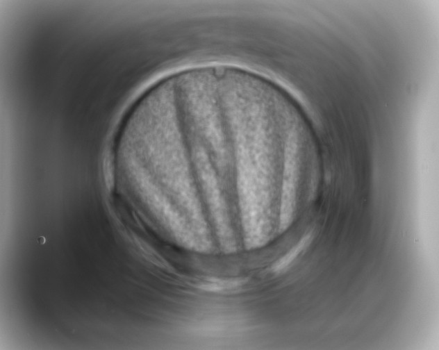 X0000088141510200706041958