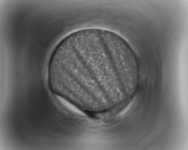 X0000088141511200706041958