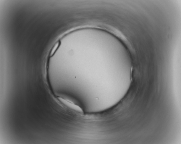 X0000088141512200706041958