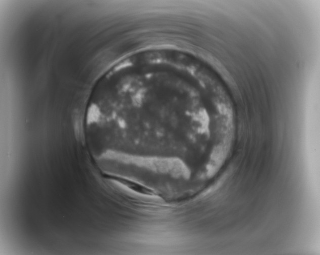 X0000088141513200706041958