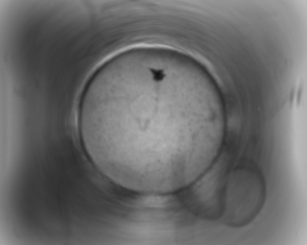 X0000088141514200706041958