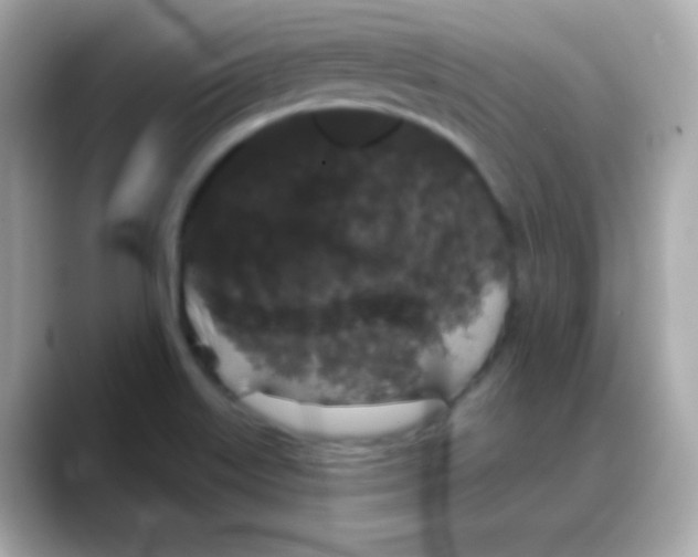 X0000088141515200706041958