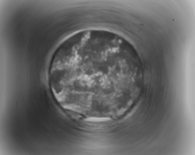 X0000088141517200706041958