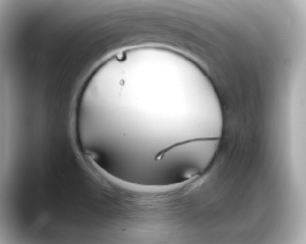 X0000088141518200706041958