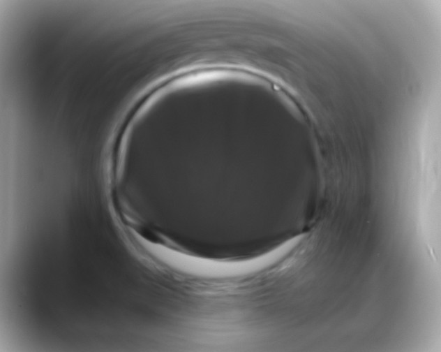 X0000088141519200706041958