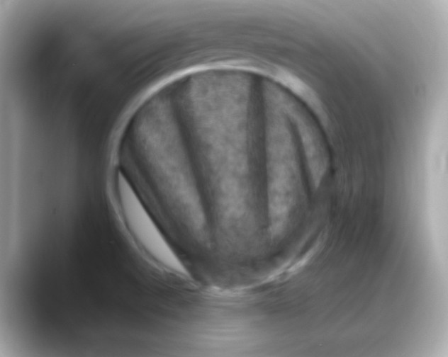 X0000088141520200706041958