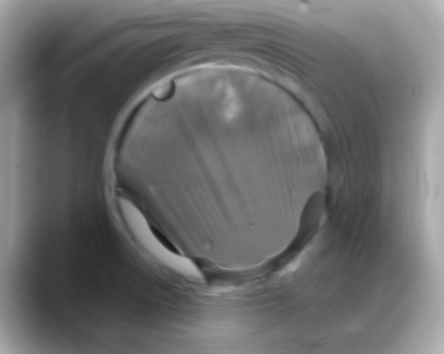 X0000088141522200706041958