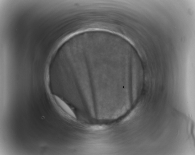 X0000088141523200706041958