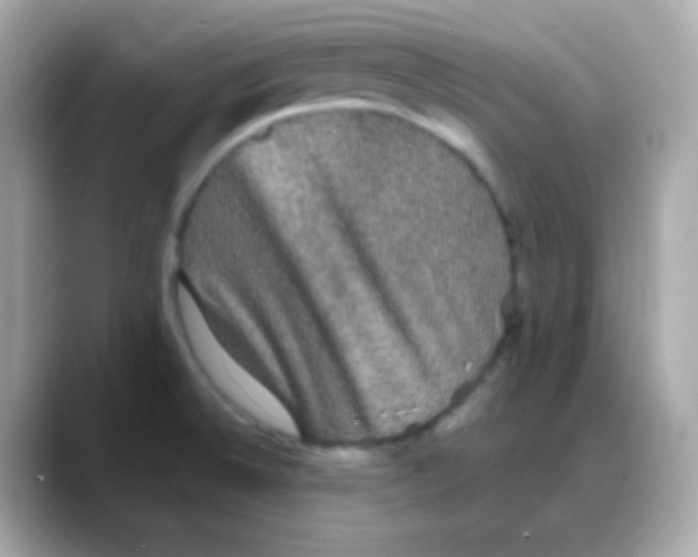 X0000088141524200706041958