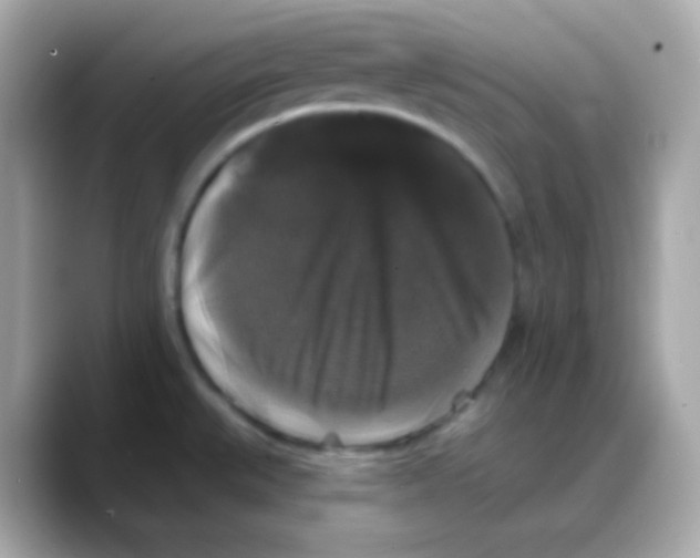 X0000088141527200706041958