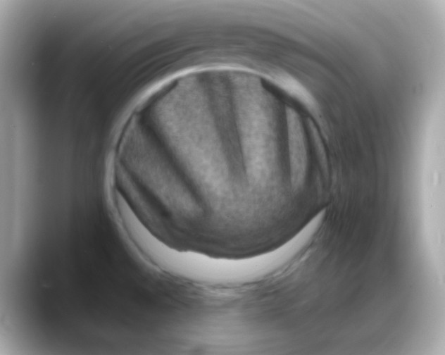 X0000088141528200706041958