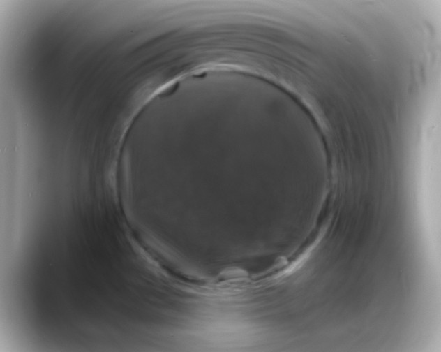 X0000088141529200706041958