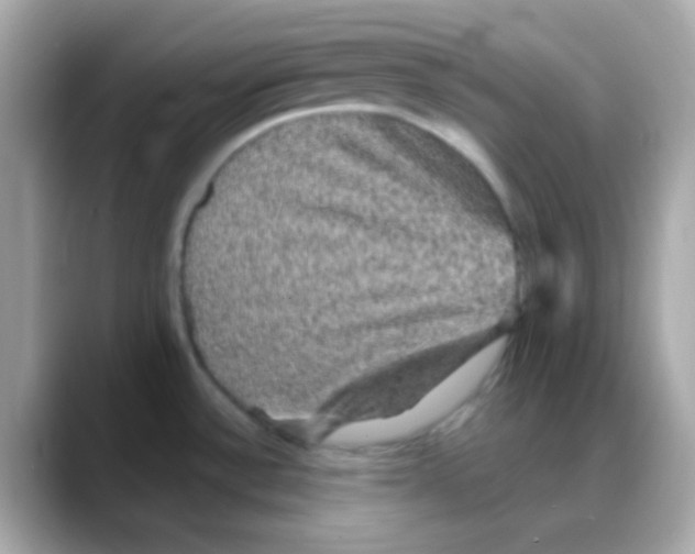 X0000088141532200706041958