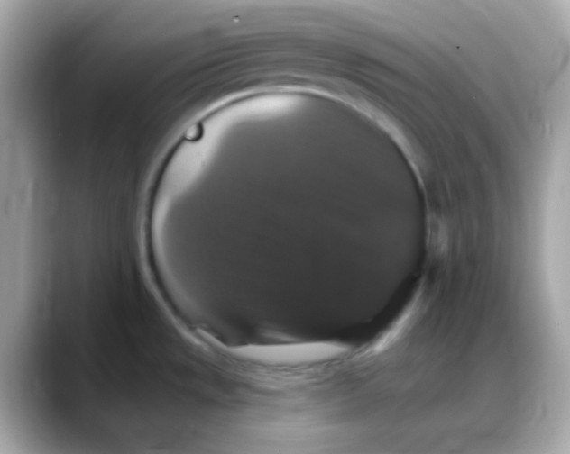 X0000088141533200706041958